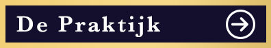 De Praktijk